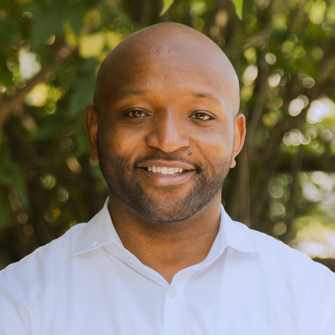 Michael Lewis fastforward